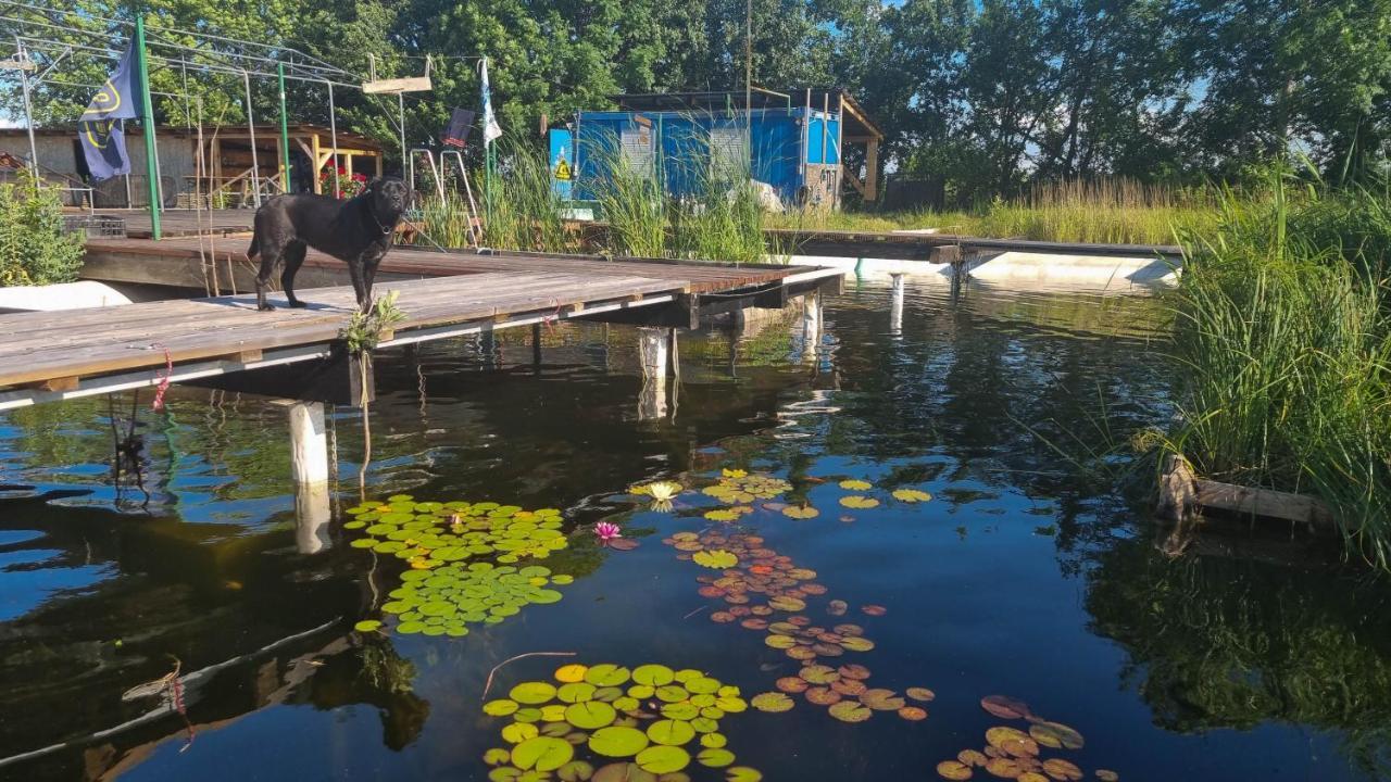 My Lake Glamping Dalnic Buitenkant foto