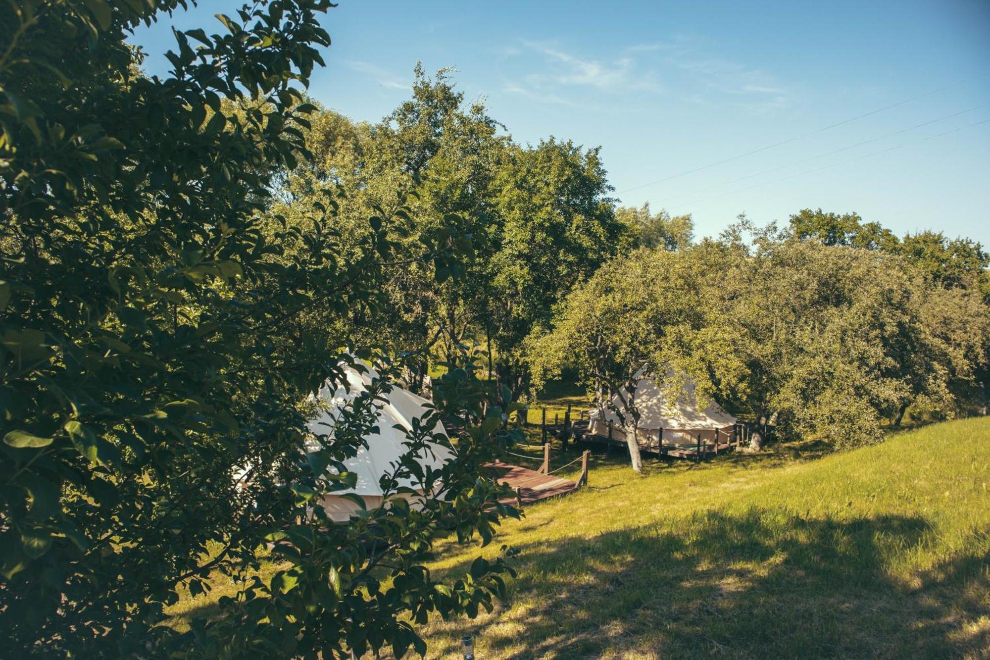 My Lake Glamping Dalnic Buitenkant foto